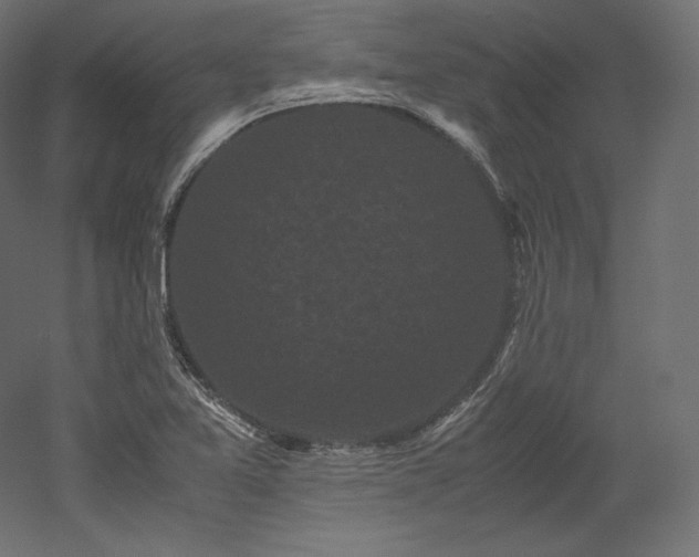 X0000052651365200507011401