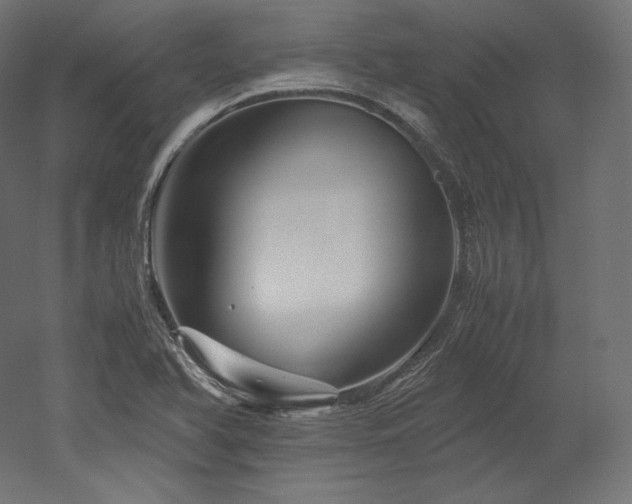 X0000052651366200507011401