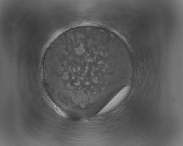X0000052651367200507011401