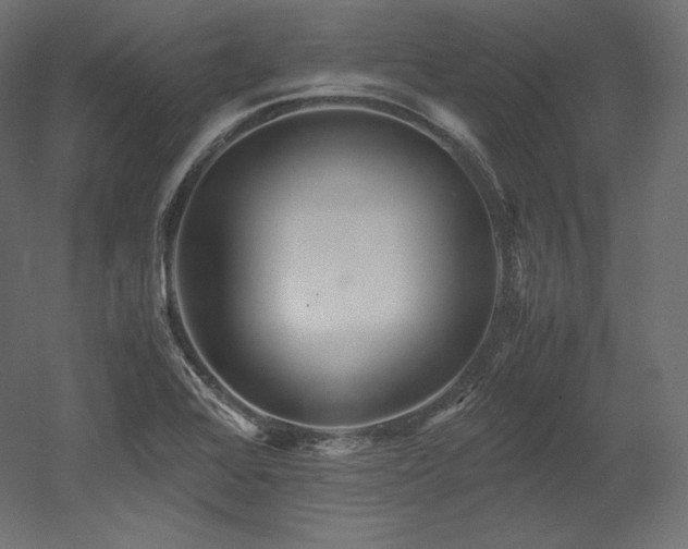 X0000052651368200507011401