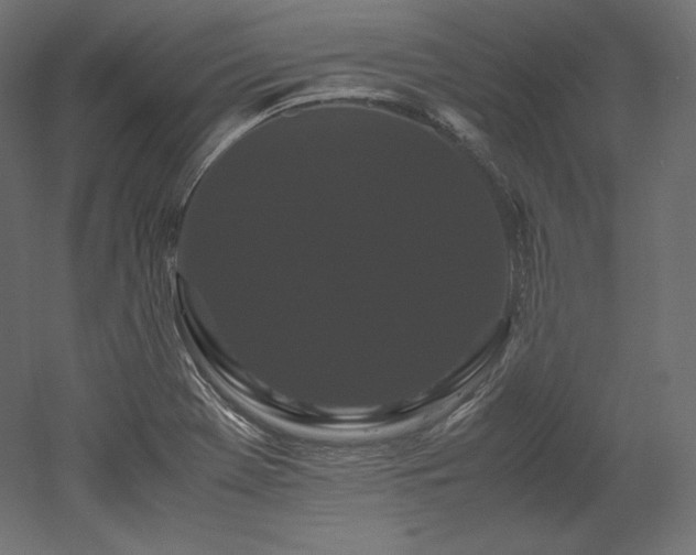 X0000052651369200507011401