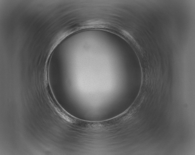 X0000052651370200507011401