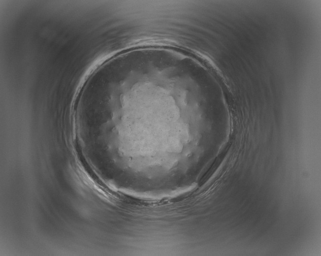 X0000052651371200507011401
