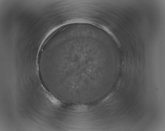 X0000052651372200507011401