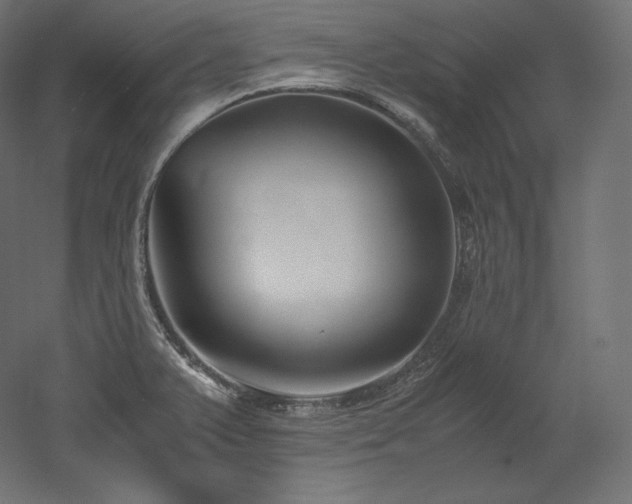 X0000052651375200507011401