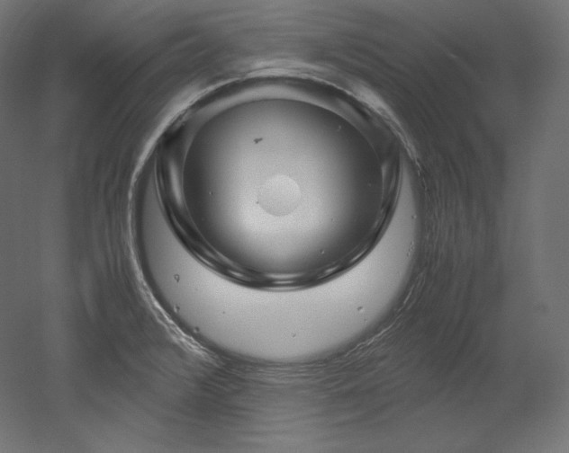 X0000052651376200507011401