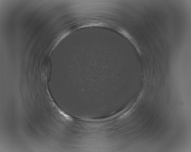 X0000052651377200507011401