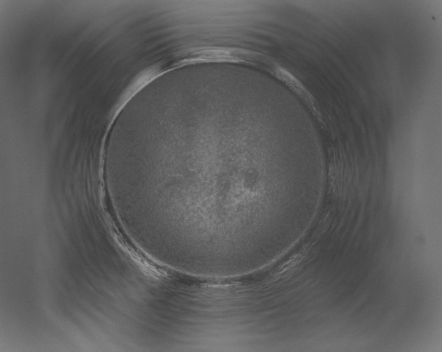 X0000052651378200507011401