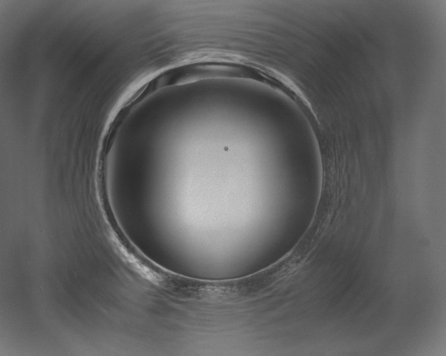 X0000052651379200507011401