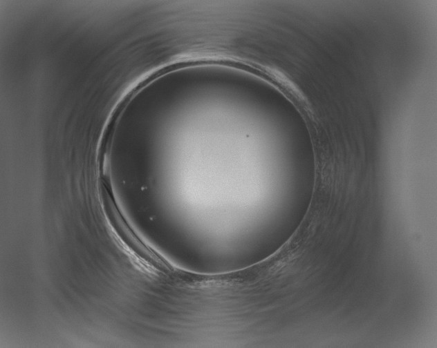 X0000052651380200507011401
