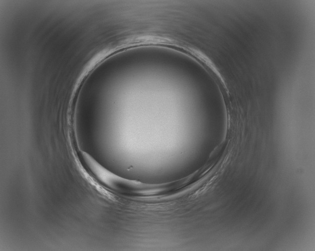X0000052651381200507011401