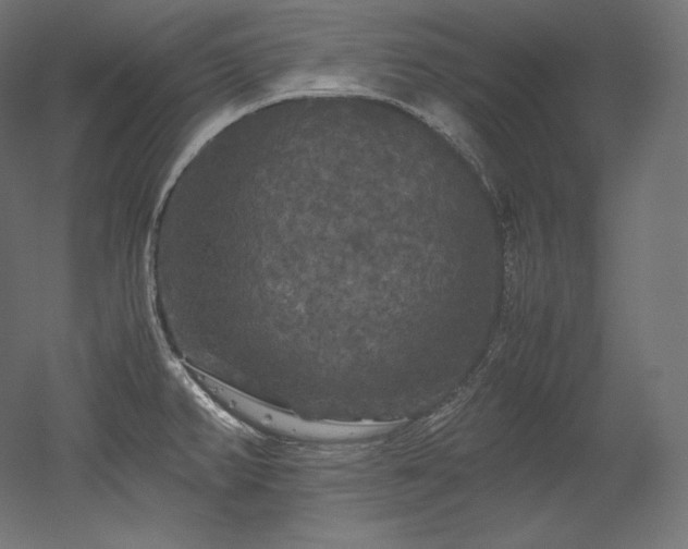 X0000052651382200507011401