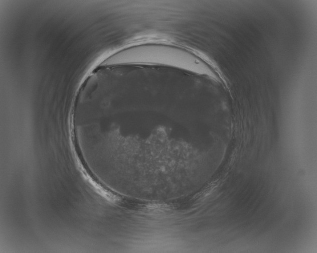 X0000052651383200507011401