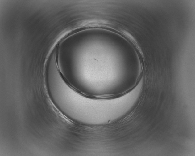 X0000052651384200507011401