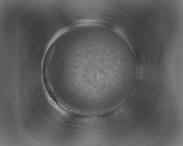 X0000052651386200507011401