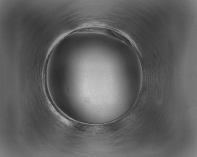 X0000052651387200507011401