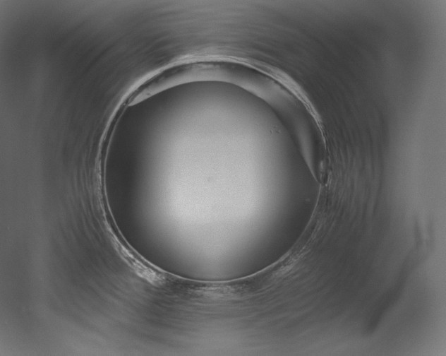 X0000052651388200507011401