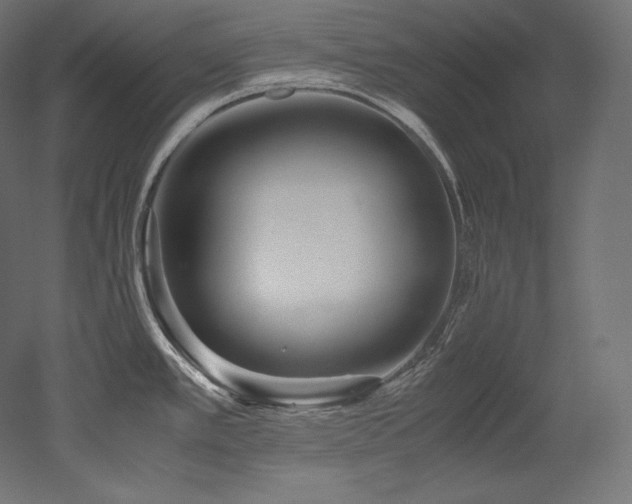 X0000052651389200507011401