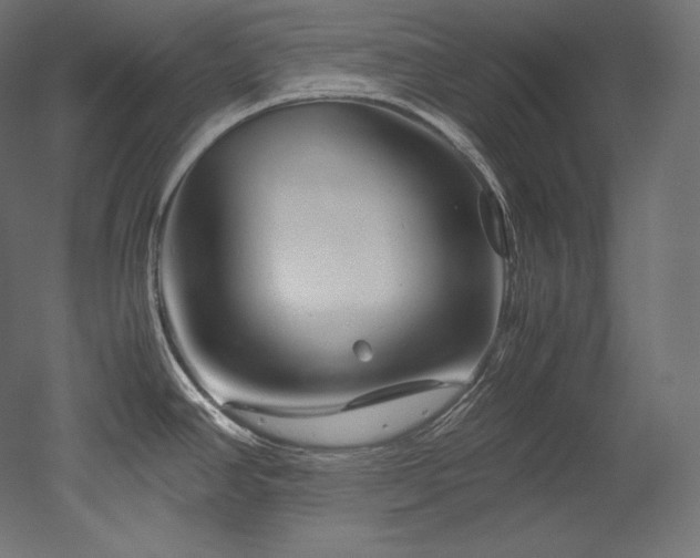 X0000052651390200507011401