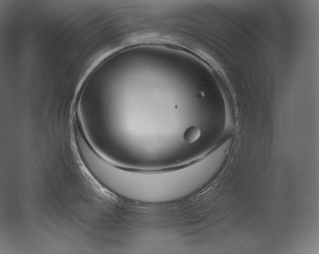 X0000052651392200507011401