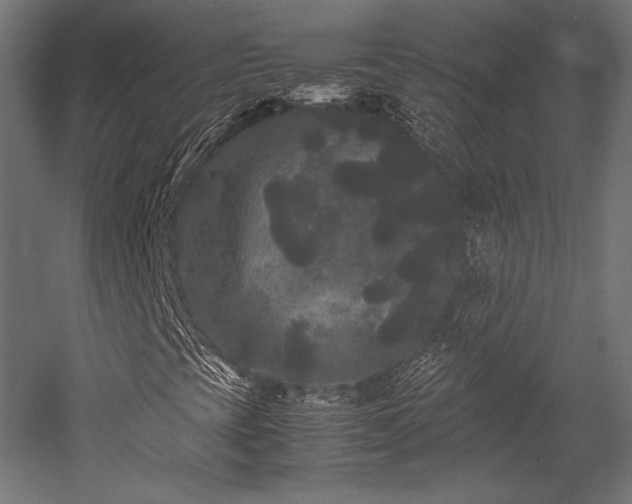X0000052651393200507011400