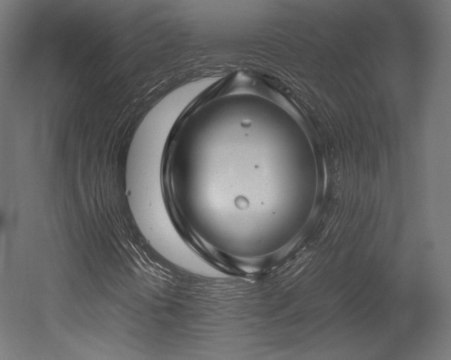 X0000052651394200507011400