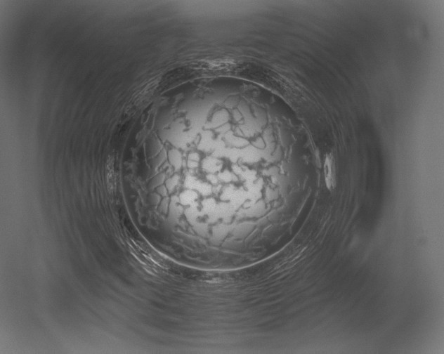 X0000052651395200507011400
