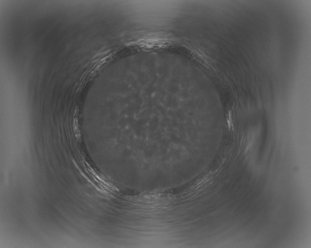 X0000052651396200507011400