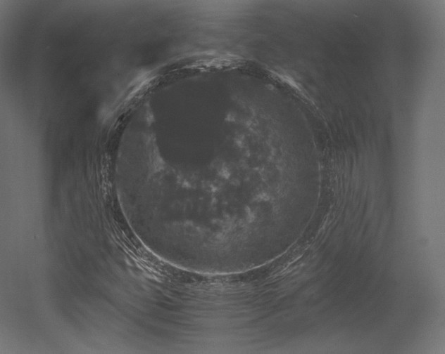 X0000052651399200507011400