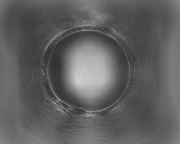 X0000052651400200507011400