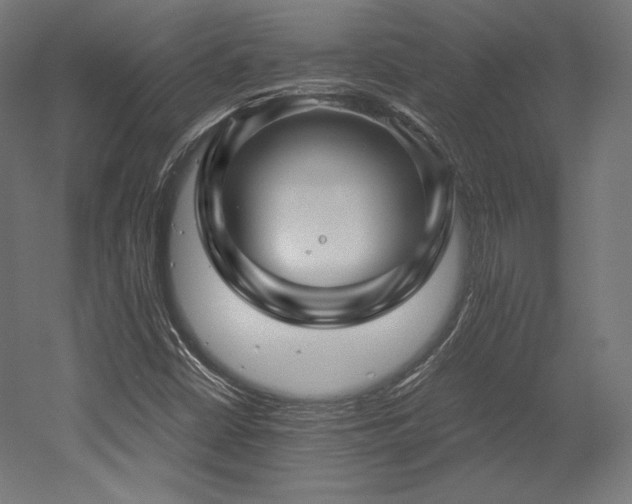 X0000052651402200507011400