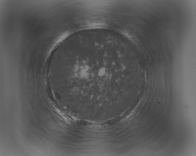 X0000052651405200507011400