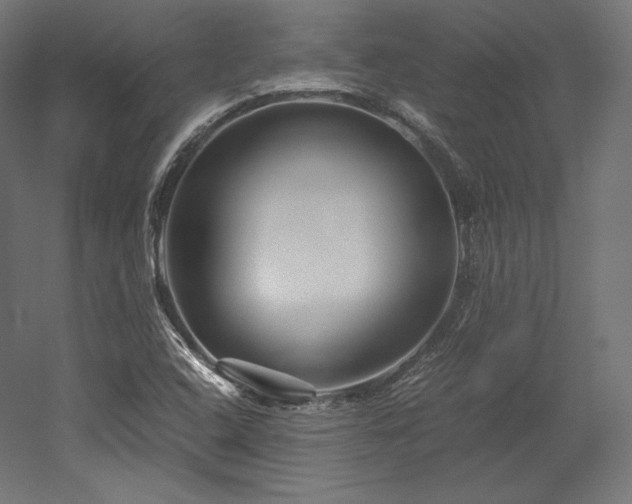 X0000052651408200507011400