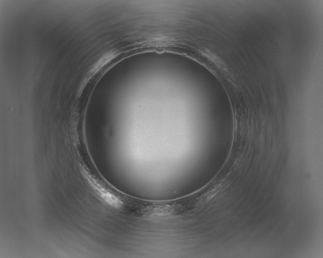 X0000052651410200507011400