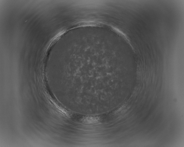 X0000052651411200507011400