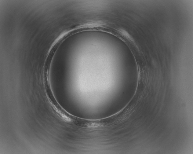 X0000052651412200507011400