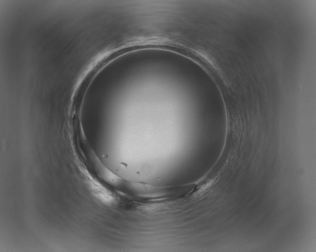 X0000052651414200507011400