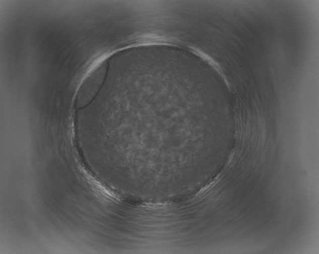X0000052651415200507011400