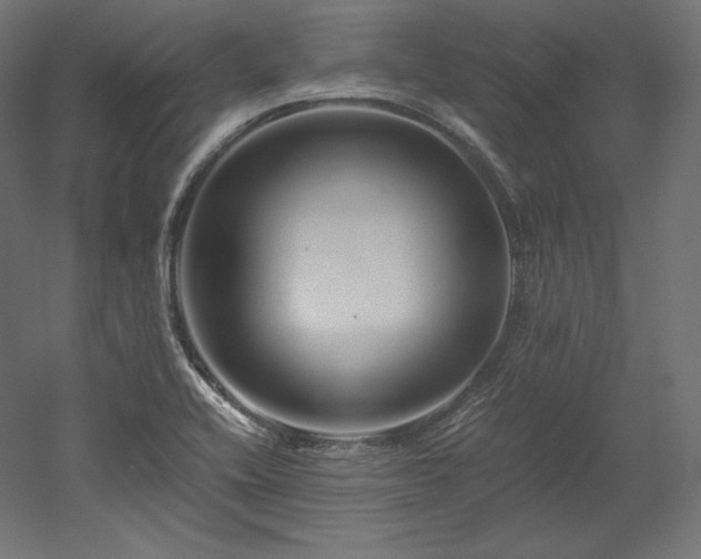 X0000052651416200507011400