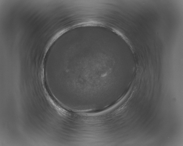 X0000052651418200507011400