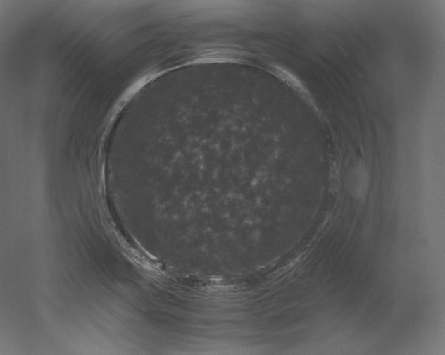 X0000052651419200507011400