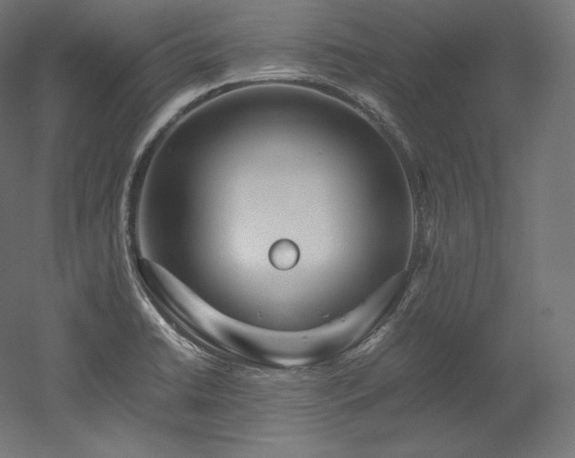 X0000052651422200507011400