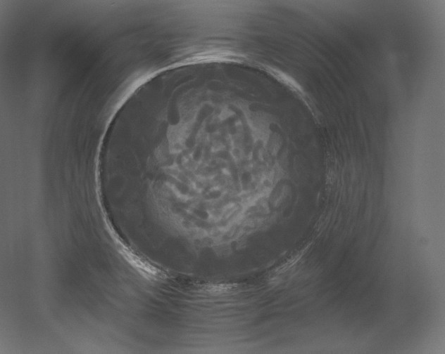 X0000052651423200507011400