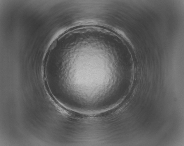 X0000052651424200507011400