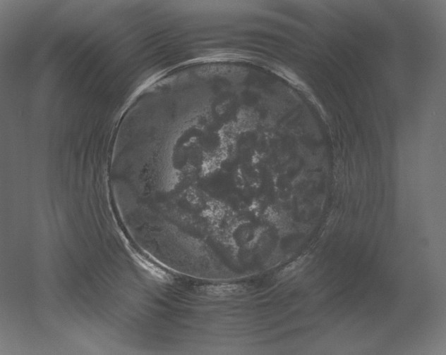 X0000052651425200507011400