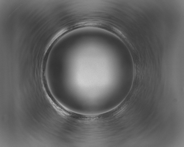 X0000052651426200507011401
