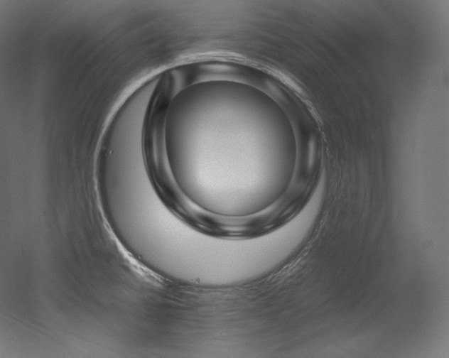 X0000052651430200507011401