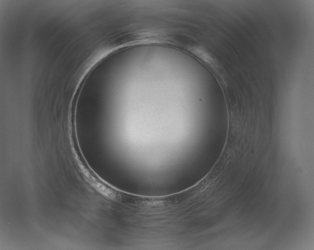 X0000052651431200507011401