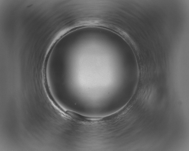 X0000052651432200507011401