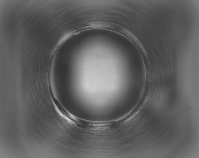 X0000052651433200507011401